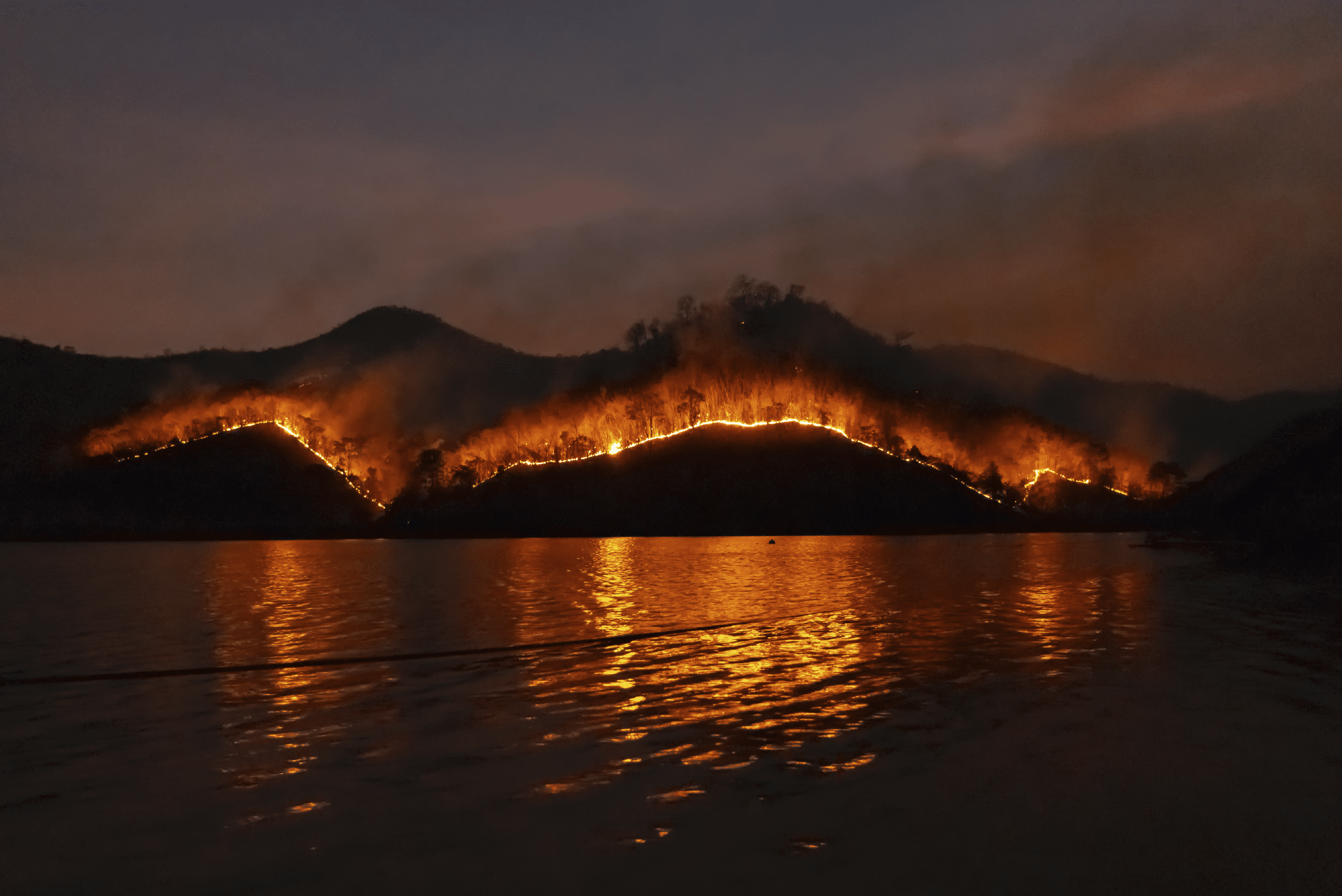 Imagen de un monte después de un incendio forestal que acompaña al artículo sobre incendios forestales de Pulse Emergencias.